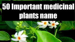 50 medicinal plants name| medicinal plants name