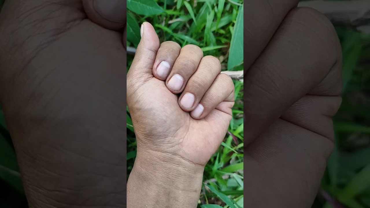 super cute cricket in the world 