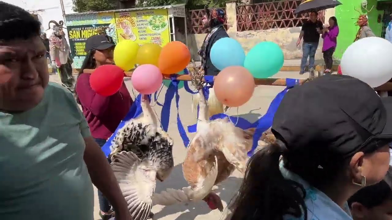 Paseo de Guajolotes  en Santiago Juxtlahuaca Oaxaca 2025
