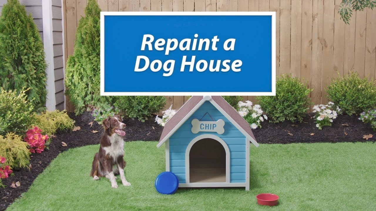 dog house painting ideas