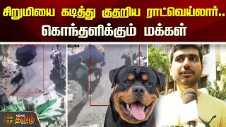 சிறுமியை கடித்து குதறிய ராட்வெய்லா்..கொந்தளிக்கும் மக்கள் |Chennai | Rottweiler Dog Bite | Newstamil