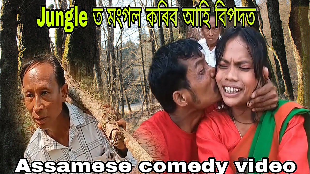 Jungle ত মংগল কৰিব আহি বিপদত 