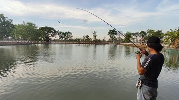 Trãi Nghiệm Lure Cá Chẽm Tại Hồ Câu 580. Kéo cực đã tay luôn