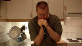 Video voorbeeld van "La Cucaracha Blues Harmonica"