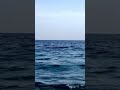 8833 52132 8833 52132