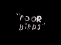 Poor birds  animated short film