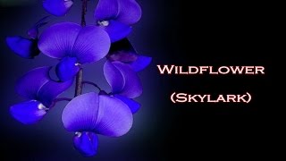 Skylark - Wildflower (lyrics) chords