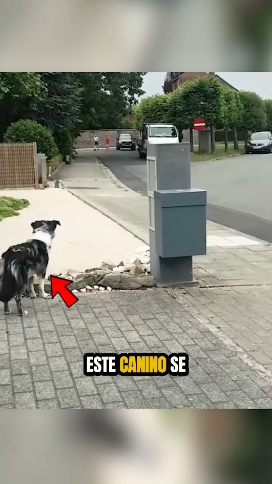 Lo que esperas cada día te sorprenderá ?❤️