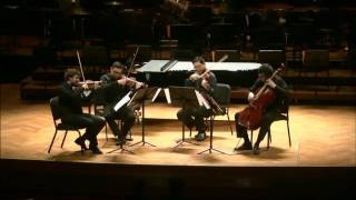 Maple Leaf  by Scott Joplin (string quartet version)