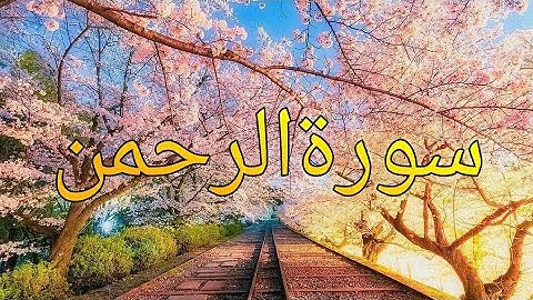 تلاوة ندية - سورة الرحمن _ القارئ ياسر الزيلعي _ Sourah Al Rahman -Yasir Al-Zailay