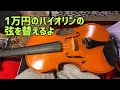 入門用バイオリンの弦を替えるライブ