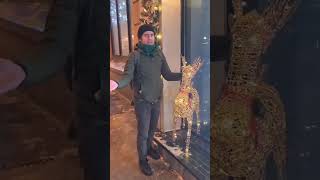 🦌🦌🦌🦌Встреча старых друзей #shorts #tiktok