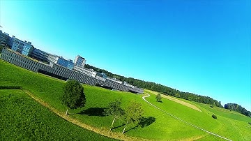 Twig Mutant 4inch caddx vista - maiden flight