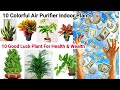 Paisa Aur Goodluck Attract karne Wale Ye Indoor Plants Abhi Lagaiye Ghar Me | Best Indoor Plants
