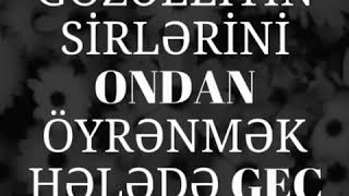 Solmaz Adina Uygun Klip