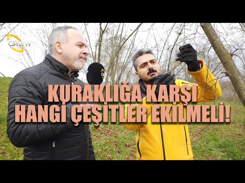 Video: Beklenmeyen Hayvan Tozlayıcıları - Bu Hayvanlar Bahçenizin Büyümesine Yardımcı Olur