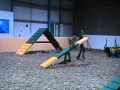 Bailey does Agility at Cleverpawz.MOD Bailey does Agility at Cleverpawz.MOD