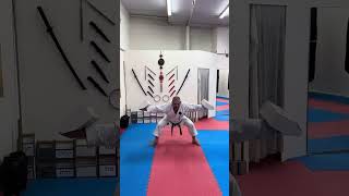 Традиционное Goju-Ryu Karate: Углубляемся в Hojo Undo с Ashi Sashi