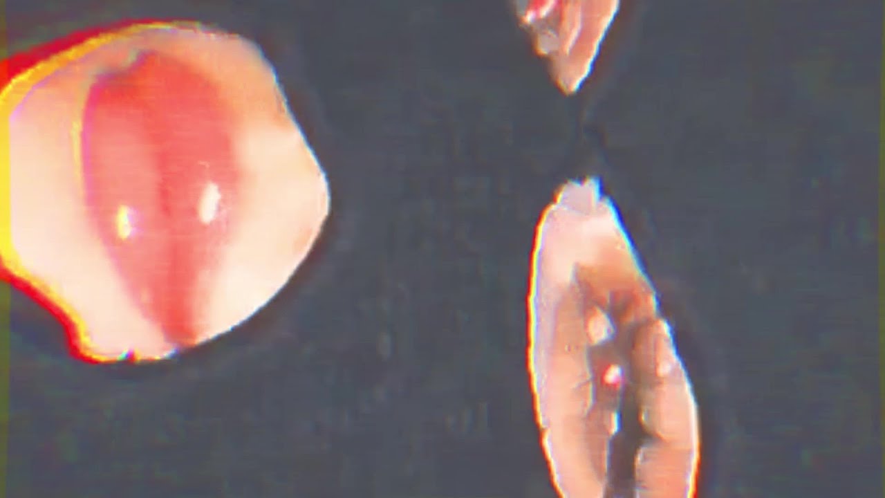 rae sremmurd - throw sum mo (slowed + reverb)【スローボイ コトゲコ】