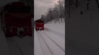 宗谷本線 塩狩駅  H100形 名寄行き 快速なよろ号 通過❗  DE15ラッセル車停車中。