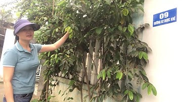 Topological Modular Forms and Homotopy Theory Academic advising