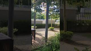 Show House Taman Jasa Intan