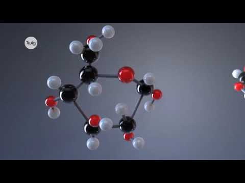 Химические элементы и соединения в организме человека  углеводы видео