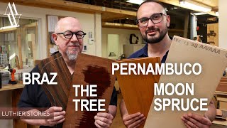 Download Lagu The Most Valuable Woods on Earth - Michael Greenfield - Luthier Stories S2 E1 MP3