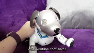 Pros and Cons of Owning an Aibo ERS-1000