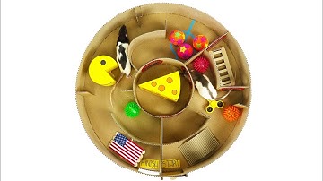 How to Make Creative Round Maze for Rats