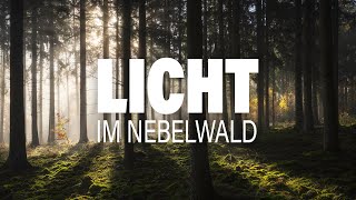 Tolle Lichtstimmung und ein alter Bekannter im Herbst | Landschaftsfotografie