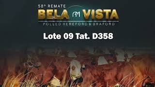 Lote 09 - Tat  D358