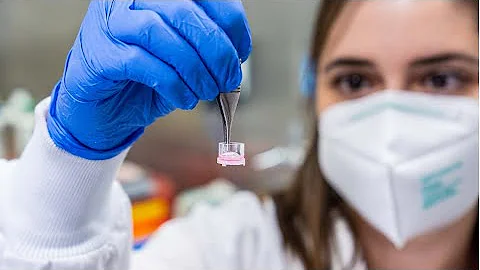 Virginia Tech researchers 3D model of brain tumor ...
