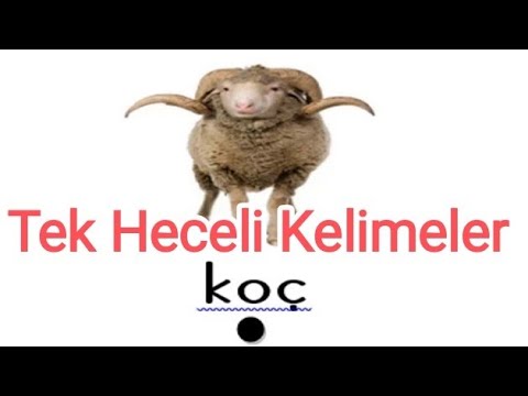 TEK HECELİ KELİMELER