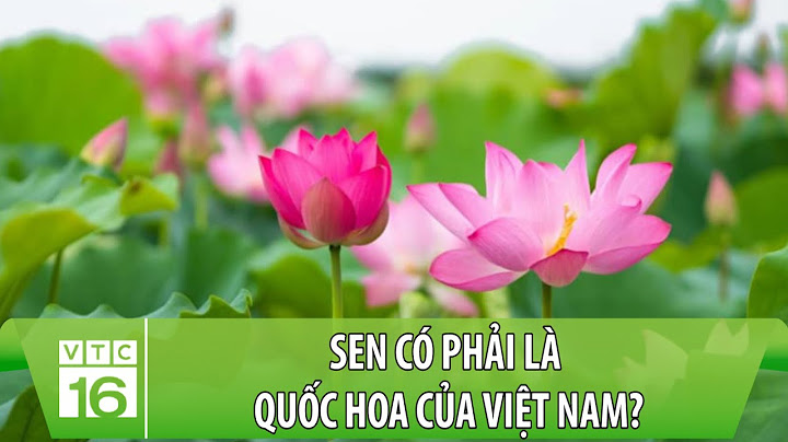 Quốc hoa của việt nam là gì năm 2024