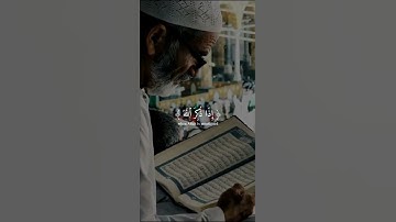 حالات واتس قران كريم | محمد صديق المنشاوي