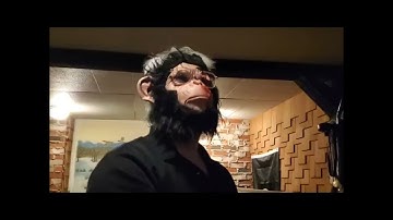 "Mall fires and Metaphors" part 2