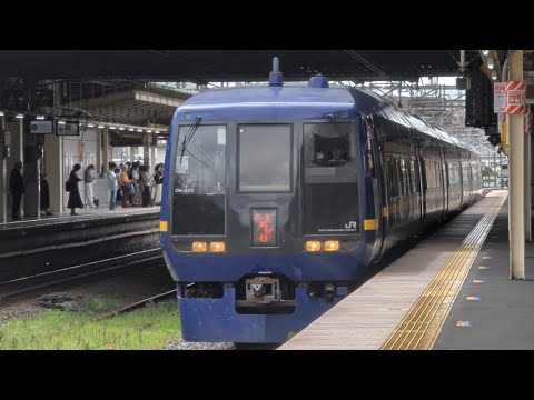 253系 特急きぬがわ3号 JR宇都宮線久喜駅通過シーン【新塗装】