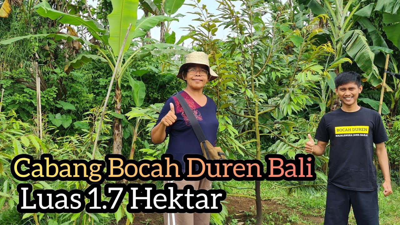 Kunjungan Ke Cabang Bocah Duren Dipulau Bali