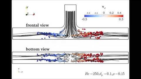 CFD simulation of unexpected trapping of particles at a T junction