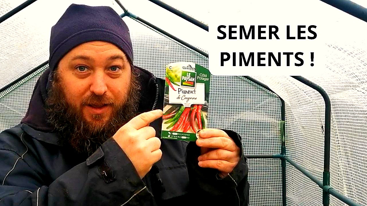 Quand Semer les Piments et les Poivrons ?