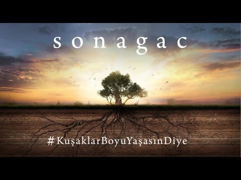 Son Ağaç #KuşaklarBoyuYaşasınDiye - Şimdi Vizyonda