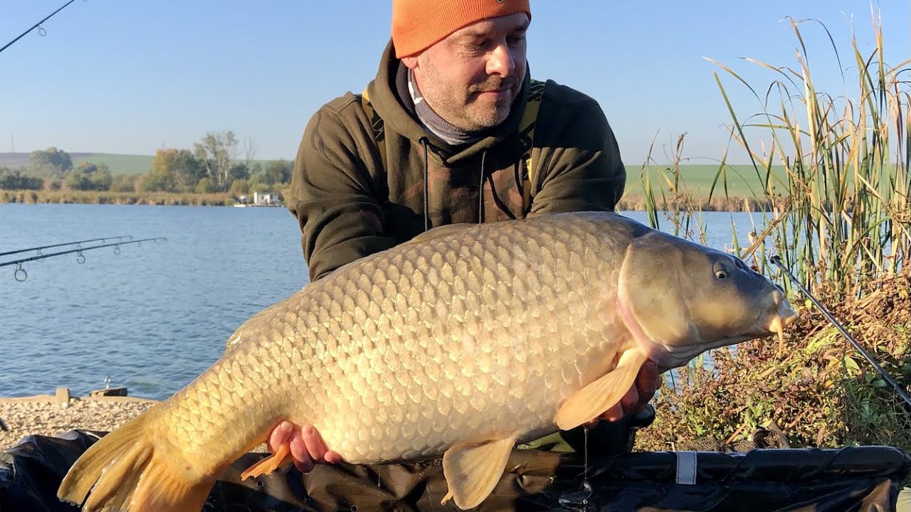 Horgászat az őszi nyárban | Arizóna Carp Lake