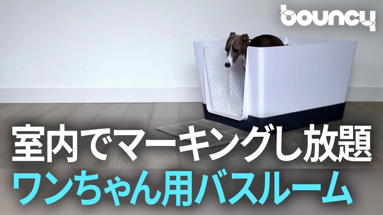 足を上げて思う存分おしっこできる犬用トイレ Youtube