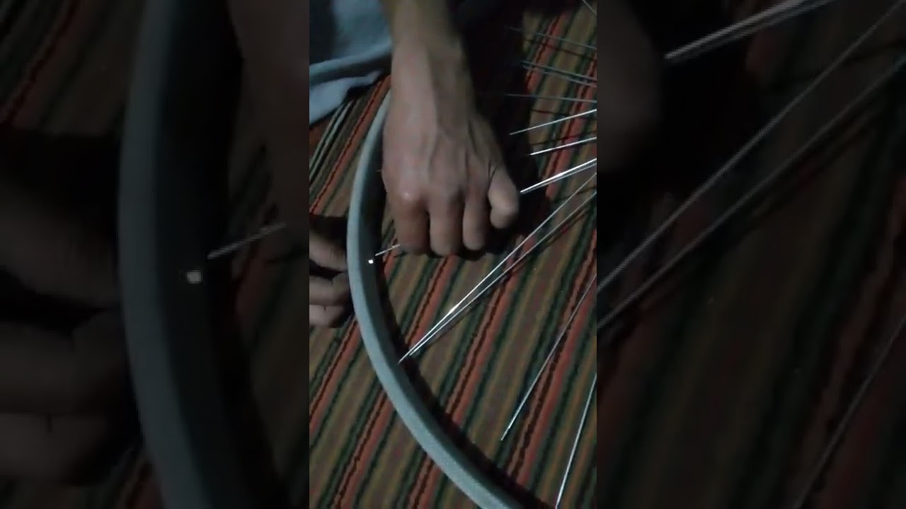 sipesa terish 1-bosqich