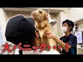 病院でこの世の終わりのような表情を見せる愛犬