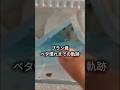 （元）狂暴モモンガ、ベタ慣れまでの軌跡