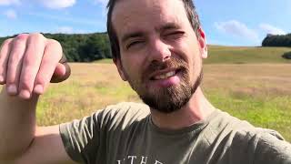 Grass carbon sequestration better than forestry, flowers and food! guilt free food production!