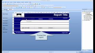 Crystal Reports - Formulas (Lesson 8)