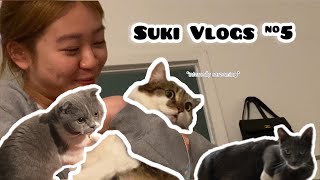 Suki Vlogs #5: Cat Sleepover! #cats #catlife #catmom #catvlog